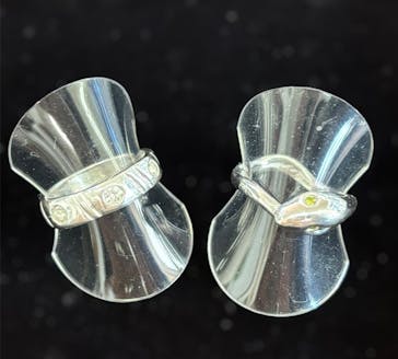 アトリエ1/F アートクレイシルバー&七宝に投稿された画像（2024/6/7）