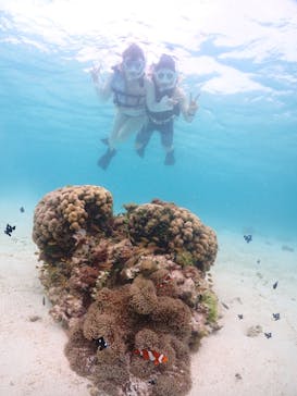 宮古島マリンショップSmileyに投稿された画像（2024/6/8）