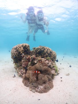 宮古島マリンショップSmileyに投稿された画像（2024/6/8）