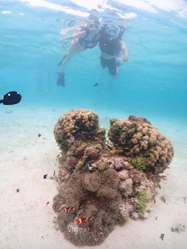 宮古島マリンショップSmileyに投稿された画像（2024/6/8）