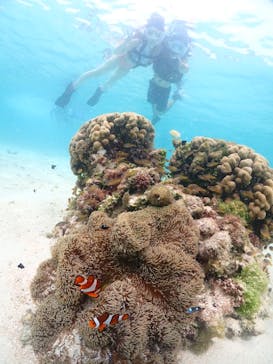 宮古島マリンショップSmileyに投稿された画像（2024/6/8）