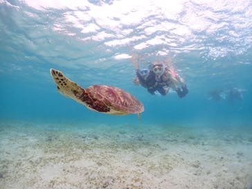 宮古島マリンショップSmileyに投稿された画像（2024/6/8）