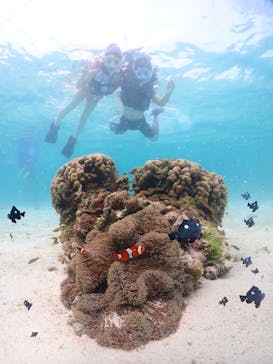 宮古島マリンショップSmileyに投稿された画像（2024/6/8）