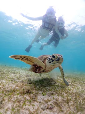宮古島マリンショップSmileyに投稿された画像（2024/6/8）