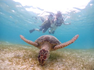 初心者専門宮古島シュノーケリングツアーに投稿された画像（2024/6/8）