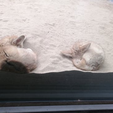 環境水族館アクアマリンふくしまに投稿された画像（2024/6/8）