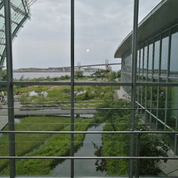 環境水族館アクアマリンふくしまに投稿された画像（2024/6/8）