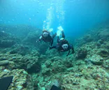 武藤潜水に投稿された画像（2024/6/8）