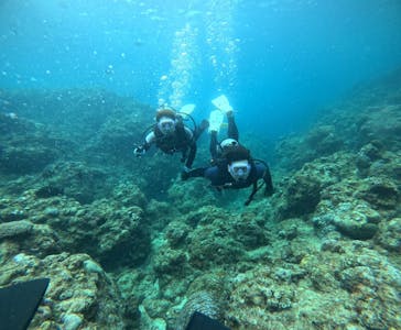 武藤潜水に投稿された画像（2024/6/8）