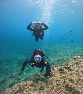 武藤潜水に投稿された画像（2024/6/8）