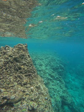 沖縄マリンサービス碧に投稿された画像（2024/6/8）