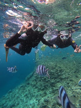 沖縄マリンサービス碧に投稿された画像（2024/6/8）