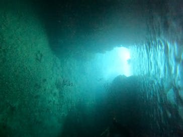 武藤潜水に投稿された画像（2024/6/8）