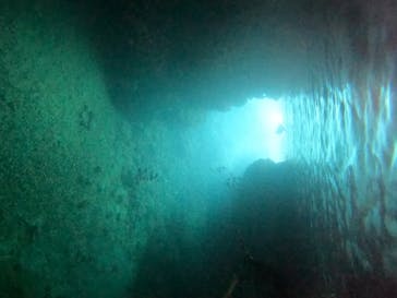 武藤潜水に投稿された画像（2024/6/8）