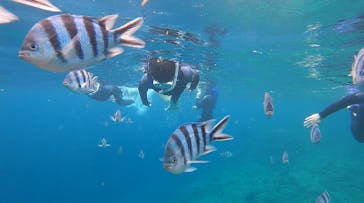 武藤潜水に投稿された画像（2024/6/8）