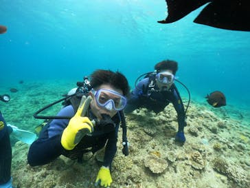 武藤潜水に投稿された画像（2024/6/8）