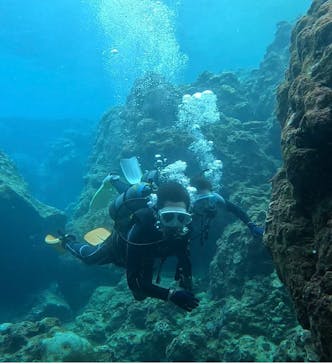 MalDive（モルダイブ）に投稿された画像（2024/6/8）