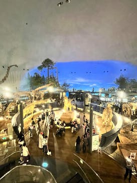 福井県立恐竜博物館に投稿された画像（2024/6/8）