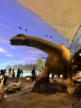 福井県立恐竜博物館に投稿された画像（2024/6/8）