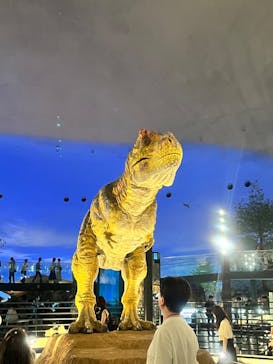 福井県立恐竜博物館に投稿された画像（2024/6/8）
