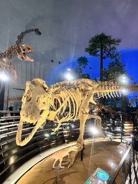 福井県立恐竜博物館に投稿された画像（2024/6/8）