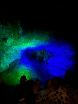 地底王国「美川ムーバレー」に投稿された画像（2024/6/8）