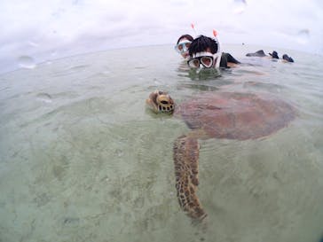 宮古島マリンショップSmileyに投稿された画像（2024/6/8）