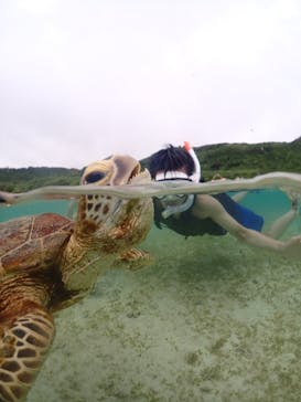 宮古島マリンショップSmileyに投稿された画像（2024/6/8）