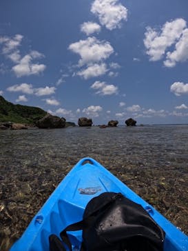 宮古島 ADVENTURE PiPi（ミヤコジマ アドベンチャー ピピ）に投稿された画像（2024/6/8）