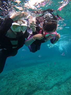 沖縄マリンサービス碧に投稿された画像（2024/6/8）