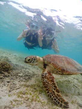 宮古島マリンショップSmileyに投稿された画像（2024/6/8）