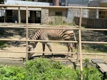 日立市かみね動物園に投稿された画像（2024/6/8）