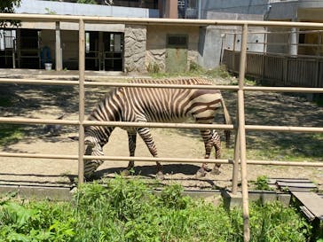 日立市かみね動物園に投稿された画像（2024/6/8）