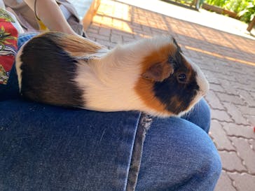 日立市かみね動物園に投稿された画像（2024/6/8）