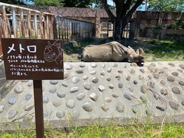 日立市かみね動物園に投稿された画像（2024/6/8）