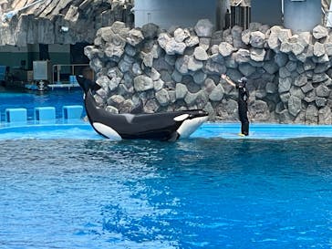 名古屋港水族館に投稿された画像（2024/6/8）