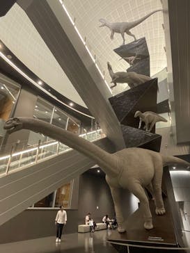 福井県立恐竜博物館に投稿された画像（2024/6/8）
