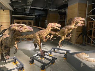 福井県立恐竜博物館に投稿された画像（2024/6/8）