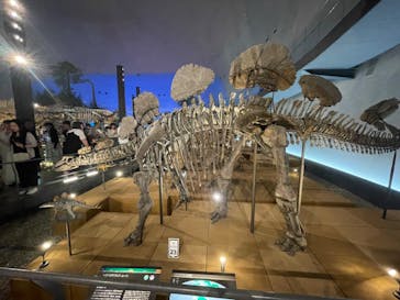 福井県立恐竜博物館に投稿された画像（2024/6/8）