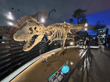 福井県立恐竜博物館に投稿された画像（2024/6/8）