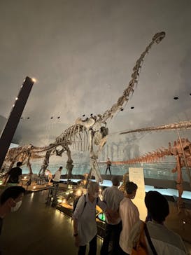 福井県立恐竜博物館に投稿された画像（2024/6/8）