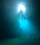 武藤潜水に投稿された画像（2024/6/8）