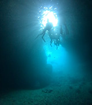 武藤潜水に投稿された画像（2024/6/8）