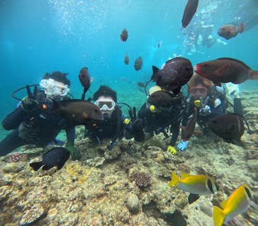 武藤潜水に投稿された画像（2024/6/8）