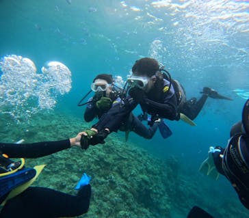 武藤潜水に投稿された画像（2024/6/8）