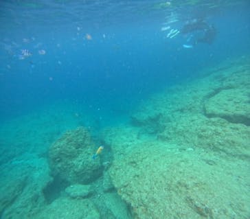 沖縄マリンサービス碧に投稿された画像（2024/6/8）