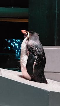 AOAO SAPPOROに投稿された画像（2024/6/8）