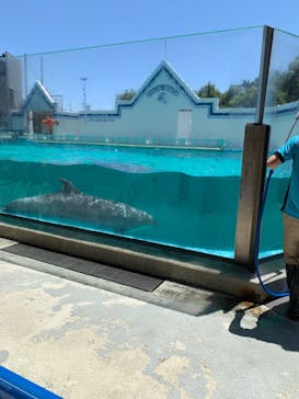 しながわ水族館に投稿された画像（2024/6/8）