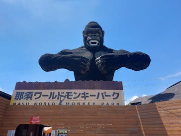 那須ワールドモンキーパークに投稿された画像（2024/6/8）