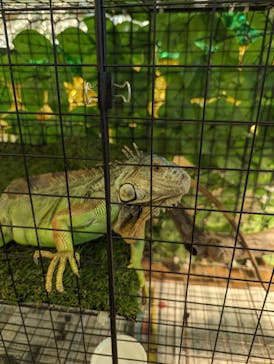 いきもの探検隊湘南に投稿された画像（2024/6/8）